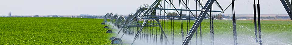 Agriculture