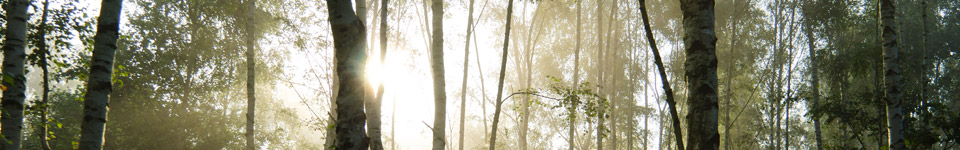 Environment