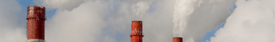 Petrochemical